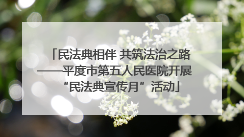 民法典相伴 共筑法治之路——平度市第五人民医院开展“民法典宣传月”活动