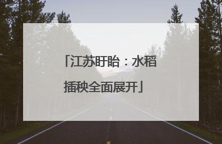 江苏盱眙：水稻插秧全面展开