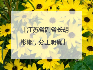 江苏省副省长胡彬郴，分工明确
