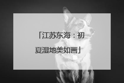 江苏东海：初夏湿地美如画