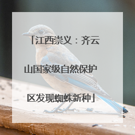 江西崇义：齐云山国家级自然保护区发现蜘蛛新种