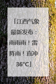 江西气象最新发布：雨雨雨！雷阵雨！直冲36°C