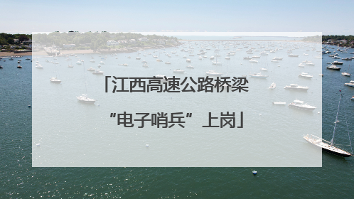江西高速公路桥梁“电子哨兵”上岗
