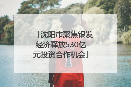 沈阳市聚焦银发经济释放530亿元投资合作机会