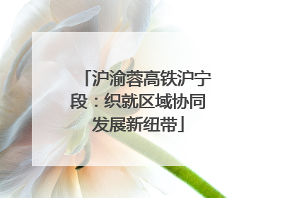 沪渝蓉高铁沪宁段：织就区域协同发展新纽带