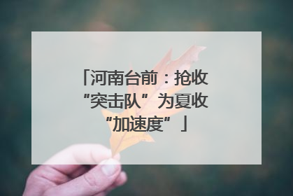 河南台前：抢收“突击队”为夏收“加速度”