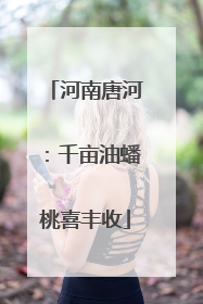 河南唐河：千亩油蟠桃喜丰收