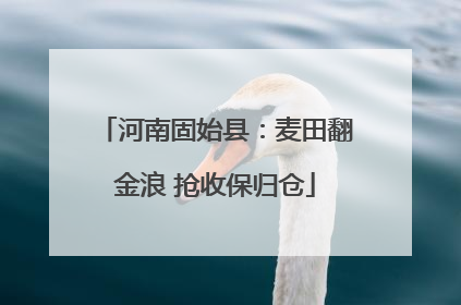 河南固始县：麦田翻金浪 抢收保归仓