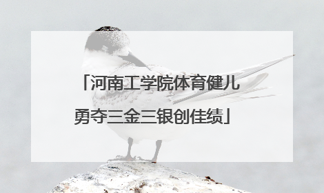 河南工学院体育健儿勇夺三金三银创佳绩