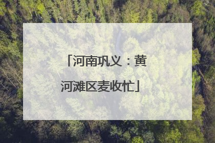 河南巩义：黄河滩区麦收忙