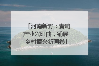 河南新野：奏响产业兴旺曲，铺展乡村振兴新画卷