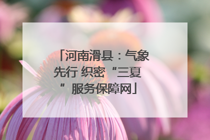 河南滑县：气象先行 织密“三夏”服务保障网