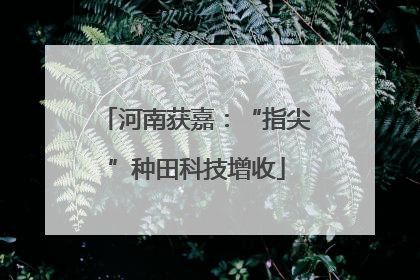 河南获嘉：“指尖”种田科技增收