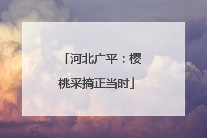 河北广平：樱桃采摘正当时
