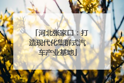河北张家口：打造现代化集群式汽车产业基地