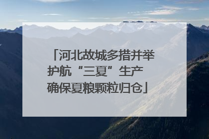 河北故城多措并举护航“三夏”生产 确保夏粮颗粒归仓