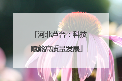 河北芦台：科技赋能高质量发展
