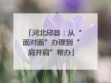 河北邱县：从“面对面”办理到“肩并肩”帮办