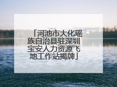 河池市大化瑶族自治县驻深圳宝安人力资源飞地工作站揭牌