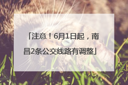 注意！6月1日起，南昌2条公交线路有调整