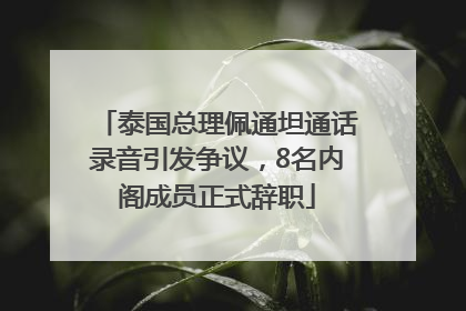 泰国总理佩通坦通话录音引发争议，8名内阁成员正式辞职