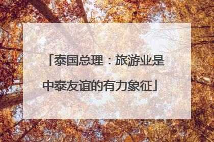 泰国总理：旅游业是中泰友谊的有力象征