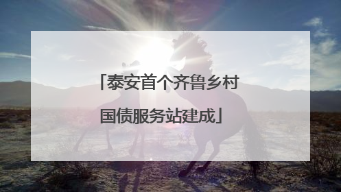 泰安首个齐鲁乡村国债服务站建成