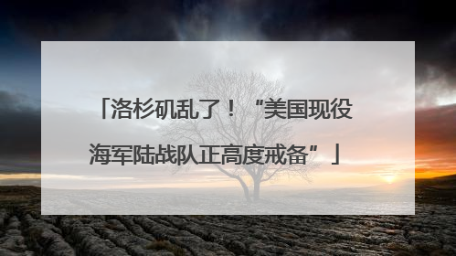 洛杉矶乱了！“美国现役海军陆战队正高度戒备”