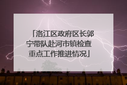 洛江区政府区长郭宁带队赴河市镇检查重点工作推进情况