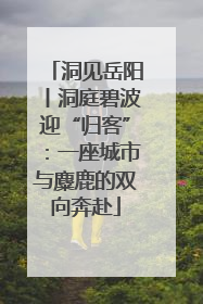 洞见岳阳丨洞庭碧波迎“归客”：一座城市与麋鹿的双向奔赴