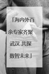 海内外百余专家齐聚武汉 共探数智未来