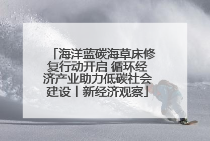 海洋蓝碳海草床修复行动开启 循环经济产业助力低碳社会建设丨新经济观察