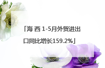 海 西 1-5月外贸进出口同比增长159.2%