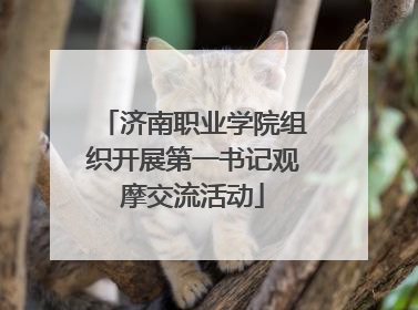 济南职业学院组织开展第一书记观摩交流活动