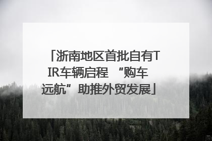 浙南地区首批自有TIR车辆启程 “购车远航”助推外贸发展
