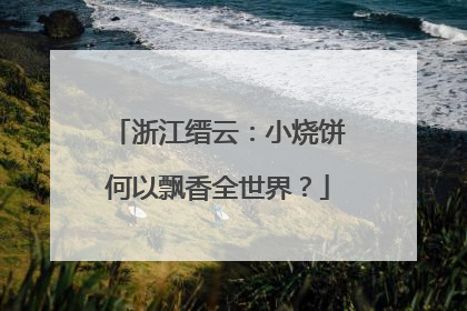浙江缙云：小烧饼何以飘香全世界？