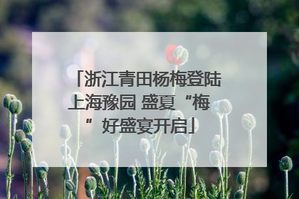 浙江青田杨梅登陆上海豫园 盛夏“梅”好盛宴开启