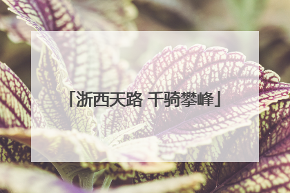 浙西天路 千骑攀峰