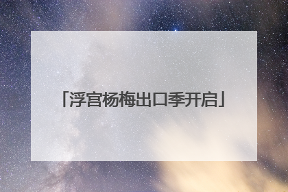 浮宫杨梅出口季开启