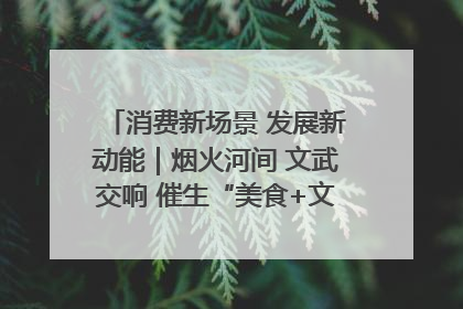 消费新场景 发展新动能｜烟火河间 文武交响 催生“美食+文化”消费新场景