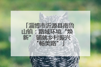 淄博市沂源县南鲁山镇：路域环境“焕新” 铺就乡村振兴“畅美路”