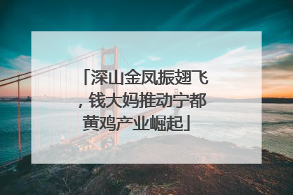 深山金凤振翅飞，钱大妈推动宁都黄鸡产业崛起