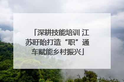 深耕技能培训 江苏盱眙打造“职”通车赋能乡村振兴