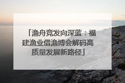 渔舟竞发向深蓝：福建渔业借渔博会解码高质量发展新路径