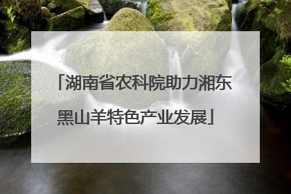 湖南省农科院助力湘东黑山羊特色产业发展