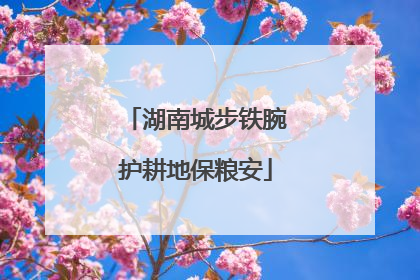 湖南城步铁腕护耕地保粮安