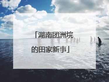 湖南团洲垸的田家新事