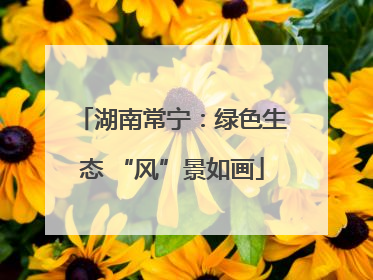 湖南常宁：绿色生态 “风”景如画
