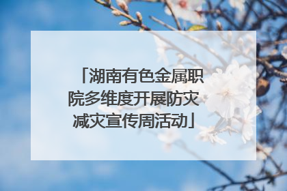 湖南有色金属职院多维度开展防灾减灾宣传周活动