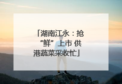 湖南江永：抢“鲜”上市 供港蔬菜采收忙
